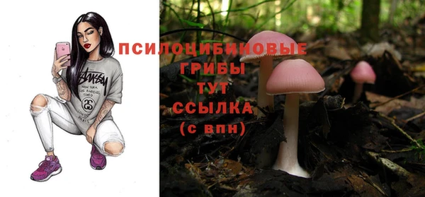 каннабис Алексин