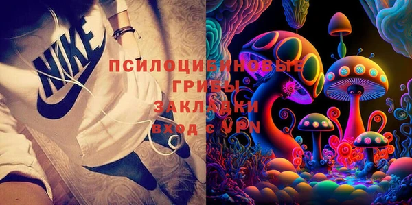 ПСИЛОЦИБИНОВЫЕ ГРИБЫ Абаза
