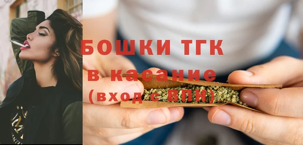 ПСИЛОЦИБИНОВЫЕ ГРИБЫ Абаза
