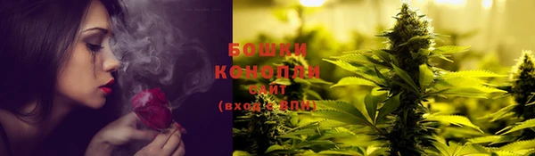 ПСИЛОЦИБИНОВЫЕ ГРИБЫ Абаза