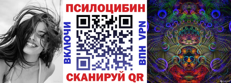 где купить наркотик  Хадыженск  кракен ТОР  Галлюциногенные грибы Psilocybine cubensis 